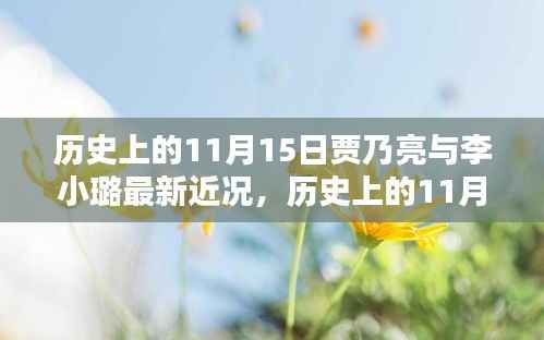 贾乃亮与李小璐11月15日最新近况概览