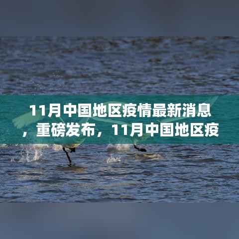 重磅发布,中国地区疫情最新智能监控科技产品介绍,11月疫情动态更新