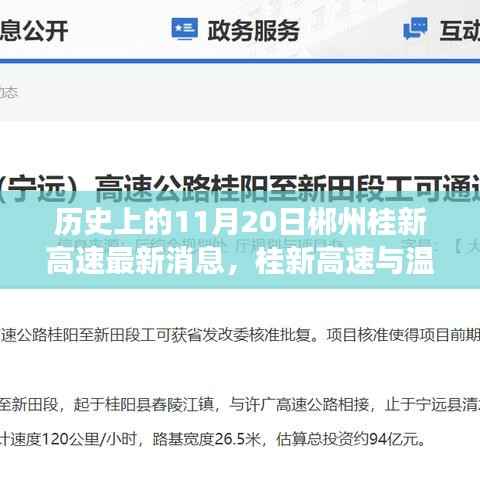 关于我们 第323页