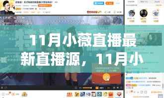 11月小薇直播最新直播源探秘与分享,直播体验大揭秘