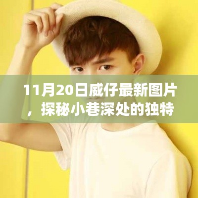 探秘小巷深处的独特风味,威仔最新图片及其背后的故事(11月20日更新)