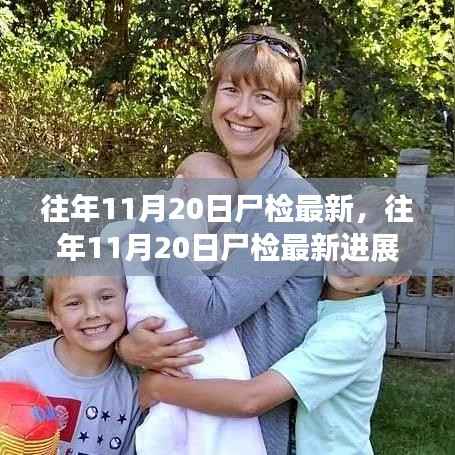 往年11月20日尸检最新进展深度分析与观点阐述