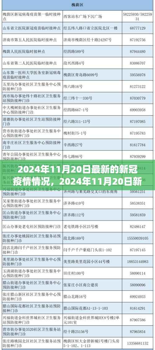 某某视角下的新冠疫情最新形势分析,2024年11月20日最新动态
