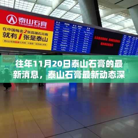 泰山石膏最新动态深度解析,独特魅力与用户体验揭秘(日期标注版)