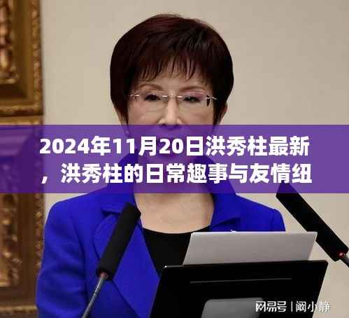 洪秀柱的日常趣事与友情纽带,秋日午后的温馨时光(2024年11月20日最新)