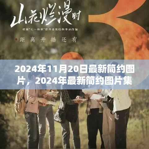 2024年最新简约图片集,特性、用户体验与目标用户分析