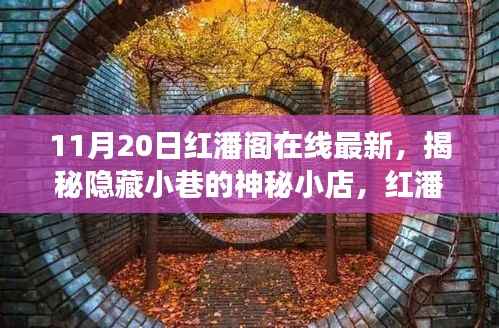 探秘隐藏小巷的神秘小店,红潘阁在线最新探秘之旅