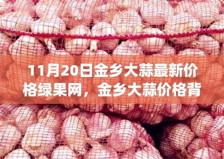 11月20日金乡大蒜最新价格绿果网,金乡大蒜价格背后的温馨故事,绿果网与我们的欢笑时光