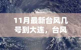 揭秘最新台风动向,对大连的影响与时代地位分析(预计到达时间)