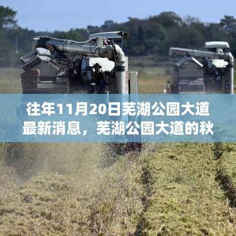 走马观花 第16页