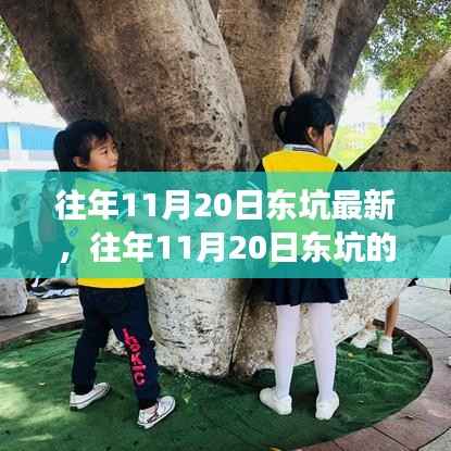 往年11月20日东坑的深度变迁与观点阐述