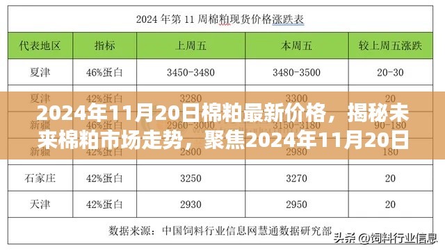 风驰电掣 第11页