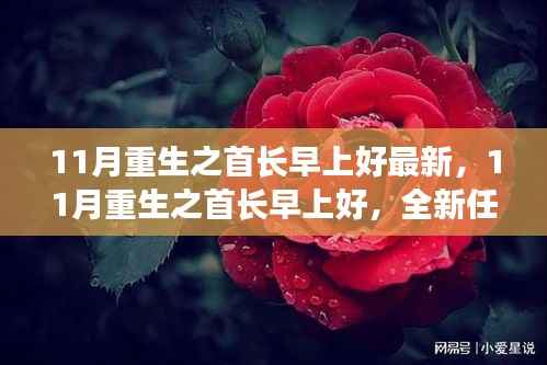 营销网络 第312页