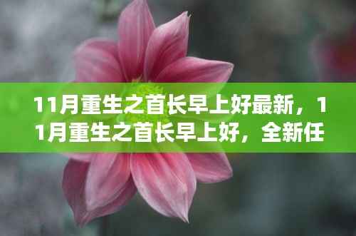 11月重生之首长早上好最新任务步骤指南与重生攻略