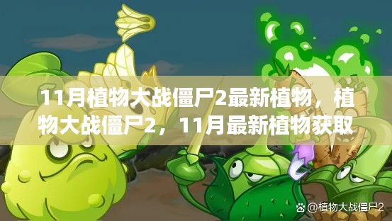 植物大战僵尸2,11月最新植物获取与使用指南揭秘