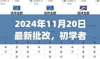 初学者与进阶用户通用指南,最新批改步骤解析(2024年11月20日更新版)