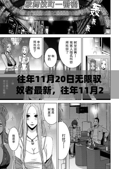 往年11月20日无限驭奴者最新,往年11月20日无限驭奴者最新动态,深度解析要点