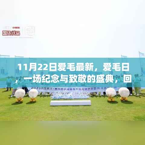 11月22日爱毛日盛典,背景、发展与时代地位的回顾与致敬