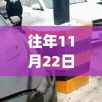 往年11月22日最新车牌GIF,影响探究与观点分歧