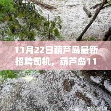 浅笑轻吟梦一曲 第13页