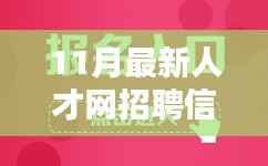 11月最新人才网招聘信息全面解析与介绍