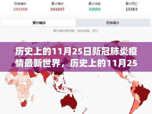 历史上的11月25日,全球视角下的新冠疫情进展与个人观点观察