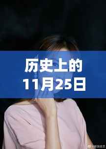 历史上的11月25日刘涛热门图片,历史上的十一月二十五日,探寻刘涛经典瞬间之美