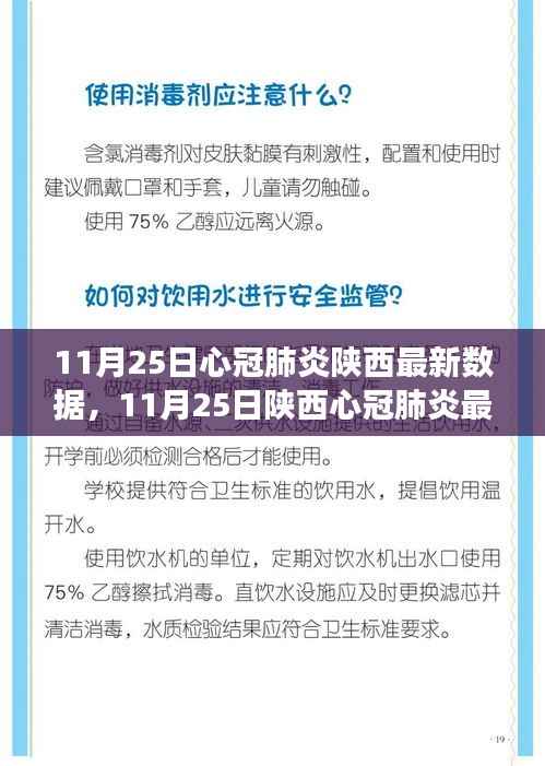 陕西新冠肺炎最新数据报告(截至11月25日),疫情动态分析与防控洞察