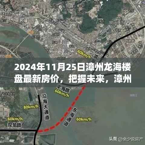 漳州龙海楼盘最新房价动态,把握未来,开启新篇章的自信之歌(2024年11月25日)