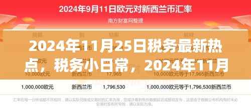 税务日常热点解析与温馨税务之旅,聚焦2024年11月25日