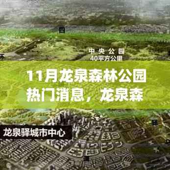 龙泉森林公园十一月热点聚焦,生态保护进步与争议引发关注