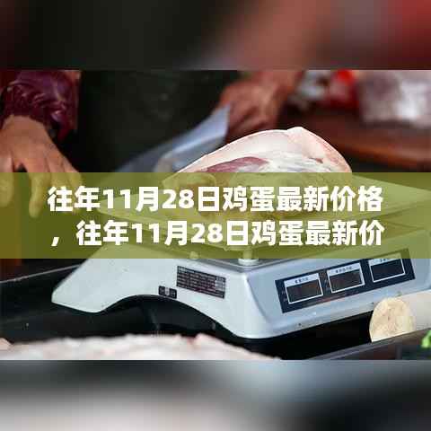 花开无言 第13页