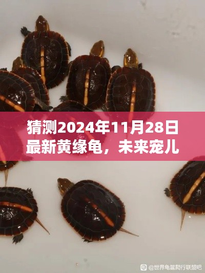 浅笑轻吟梦一曲 第12页