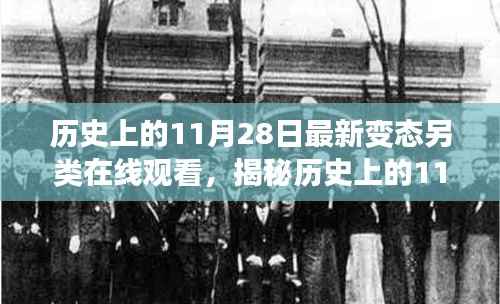 揭秘历史上的11月28日,另类在线观看背后的故事与变迁之探秘日纪实录