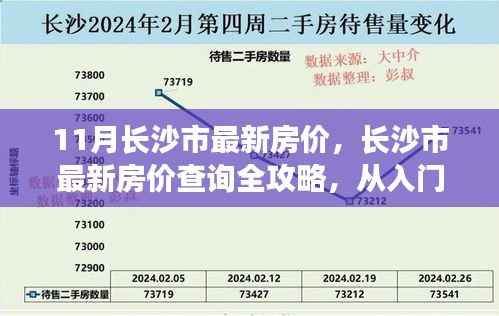 长沙市最新房价指南,从入门到精通,11月房价查询全攻略
