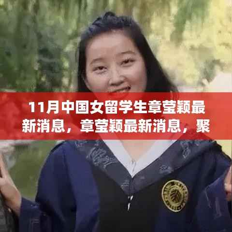 章莹颖最新消息揭秘,聚焦关注与多元解读