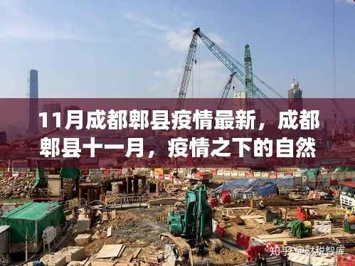 成都郫县疫情下的自然疗愈之旅,寻找心灵的宁静与平和