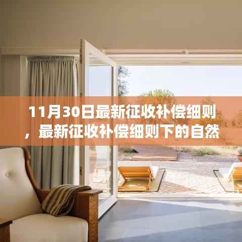 最新征收补偿细则下的自然探索之旅，追寻内心宁静与平和