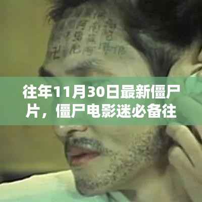 僵尸电影迷指南,如何轻松观看往年11月最新僵尸片