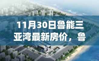 鲁能三亚湾新房价揭秘,友情与家的温馨故事(附最新房价信息)