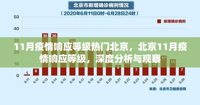 11月疫情响应等级热门北京,北京11月疫情响应等级,深度分析与观察