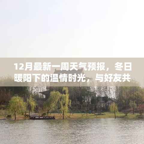冬日暖阳下的天气预报,与好友共话最新一周天气变化
