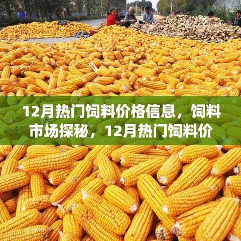 12月热门饲料价格探秘,市场走势与欢乐追踪