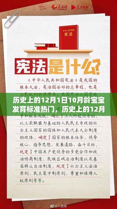 探寻历史中的宝宝成长里程碑,十二月龄宝宝发育标准变迁解析