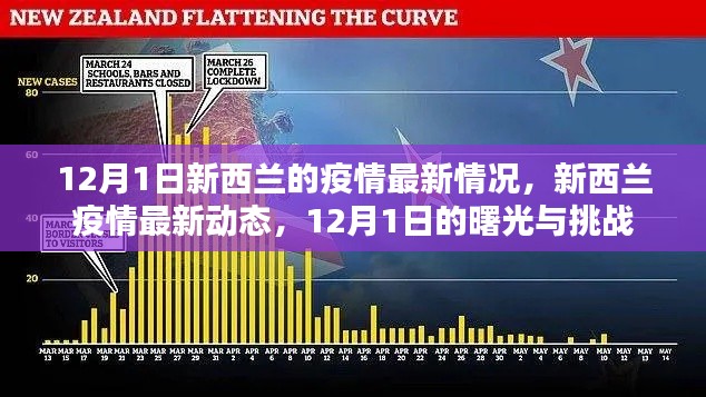新西兰疫情动态更新,曙光与挑战并存,12月最新报告解读