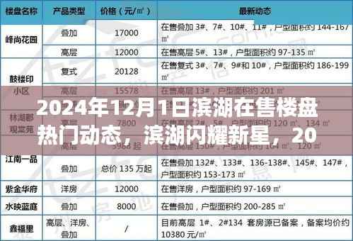 滨湖闪耀新星，2024年12月热门楼盘深度测评与动态概览