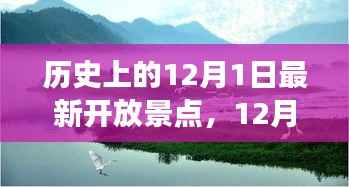 12月1日新景点开启,家庭温馨之旅的历史瞬间