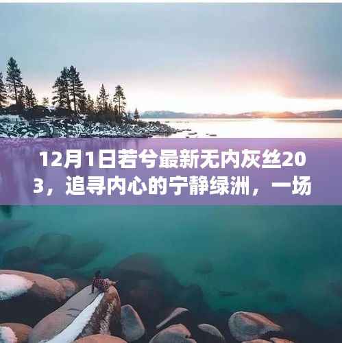 追寻内心的宁静绿洲,若兮最新无内灰丝之旅,自然美景之旅体验心灵净化