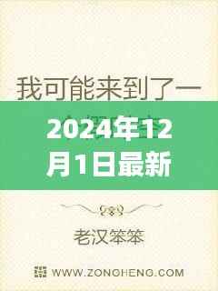 官场日常之温馨篇章,阳光时刻下的权力游戏