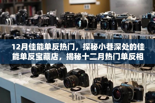 探秘十二月佳能单反宝藏店,热门相机潮流与小巷深处的宝藏探秘